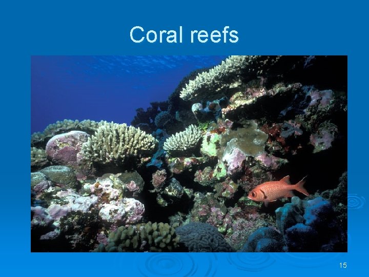 Coral reefs 15 