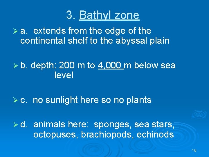 3. Bathyl zone Ø a. extends from the edge of the continental shelf to