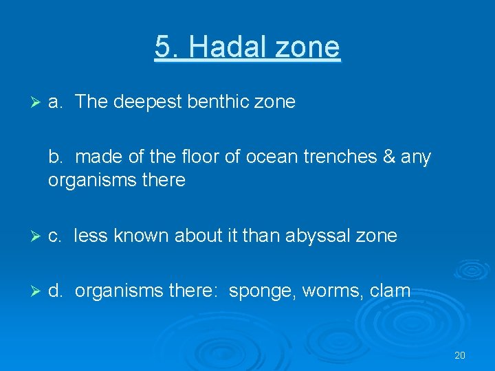 5. Hadal zone Ø a. The deepest benthic zone b. made of the floor