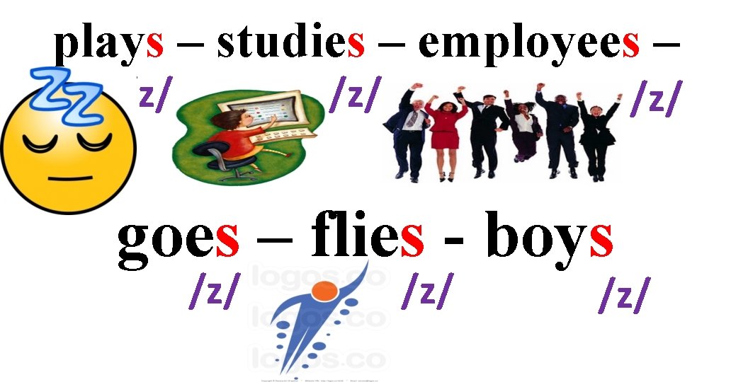 plays – studies – employees – /z/ /z/ goes – flies - boys /z/