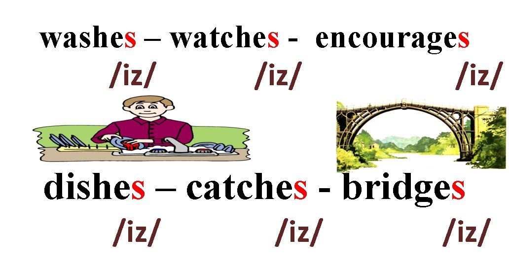 washes – watches - encourages /iz/ dishes – catches - bridges /iz/ 