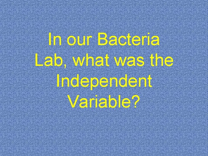In our Bacteria Lab, what was the Independent Variable? 