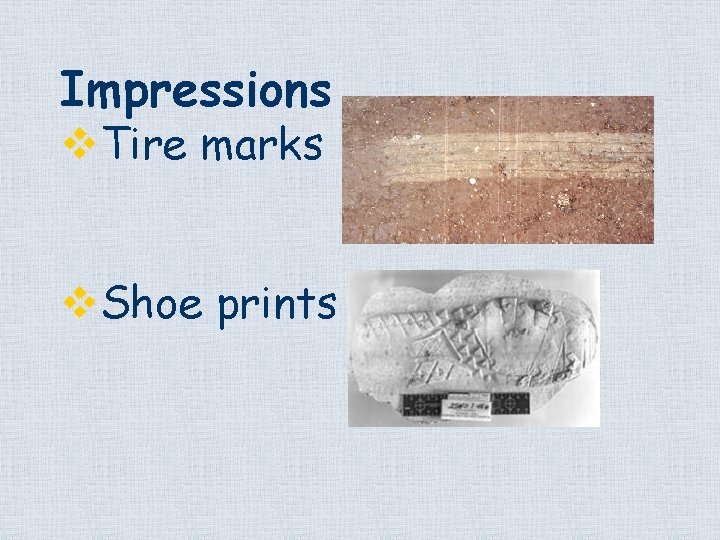 Impressions v. Tire marks v. Shoe prints 