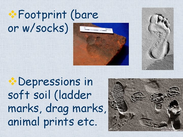 v. Footprint (bare or w/socks) v. Depressions in soft soil (ladder marks, drag marks,