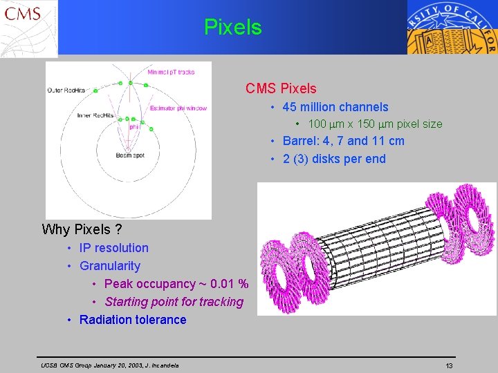 Pixels CMS Pixels • 45 million channels • 100 mm x 150 mm pixel