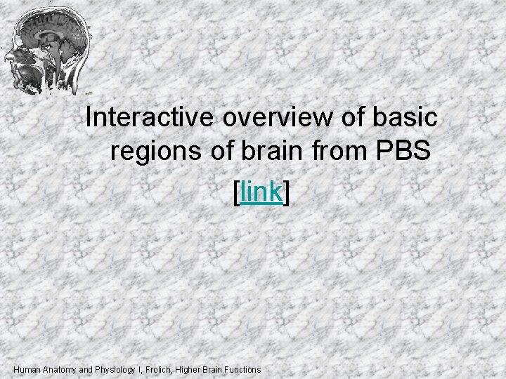 Interactive overview of basic regions of brain from PBS [link] Human Anatomy and Physiology