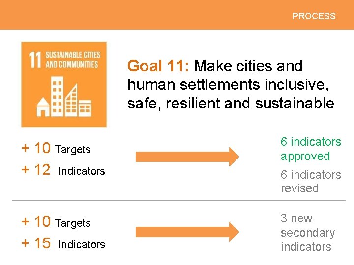 PROCESS Goal 11: Make cities and human settlements inclusive, safe, resilient and sustainable +