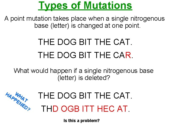 Types of Mutations A point mutation takes place when a single nitrogenous base (letter)