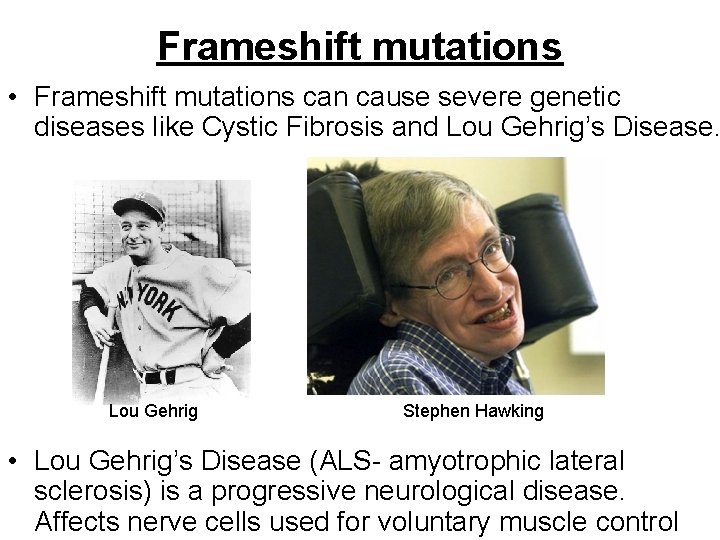 Frameshift mutations • Frameshift mutations can cause severe genetic diseases like Cystic Fibrosis and