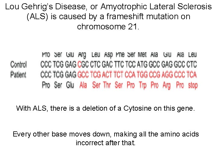 Lou Gehrig’s Disease, or Amyotrophic Lateral Sclerosis (ALS) is caused by a frameshift mutation