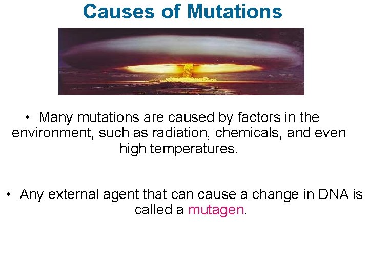 Causes of Mutations • Many mutations are caused by factors in the environment, such