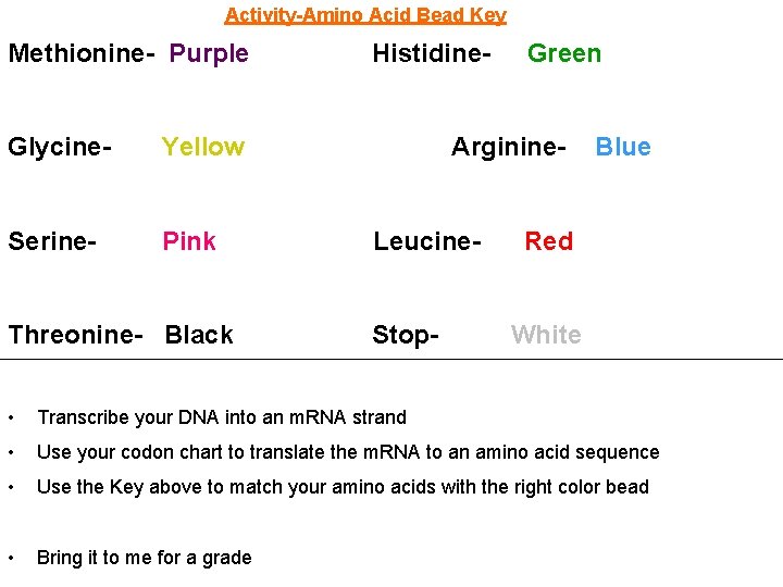 Activity-Amino Acid Bead Key Methionine- Purple Glycine- Yellow Serine- Pink Threonine- Black Histidine- Green