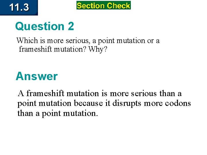 Question 2 Which is more serious, a point mutation or a frameshift mutation? Why?