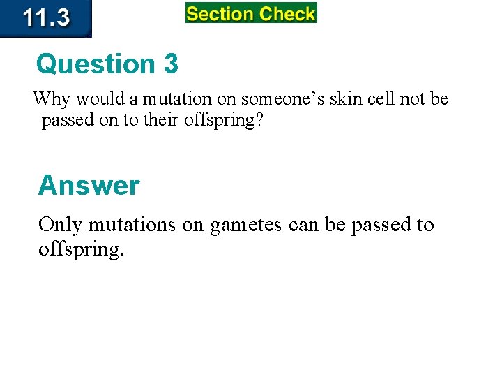 Question 3 Why would a mutation on someone’s skin cell not be passed on