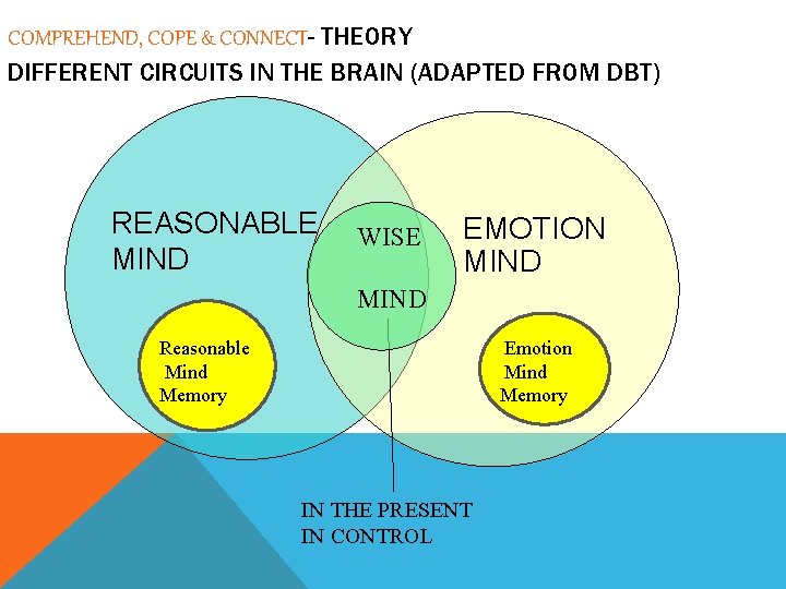 COMPREHEND, COPE & CONNECT- THEORY DIFFERENT CIRCUITS IN THE BRAIN (ADAPTED FROM DBT) REASONABLE