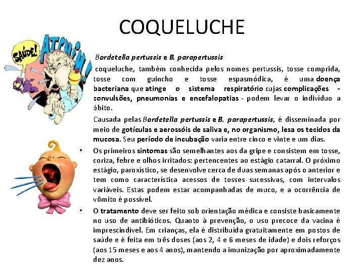 COQUELUCHE • • • Bordetella pertussis e B. parapertussis coqueluche, também conhecida pelos nomes