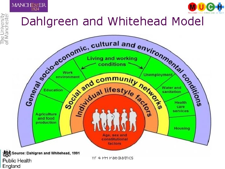 Dahlgreen and Whitehead Model Yr 4 PH Paediatrics 3 