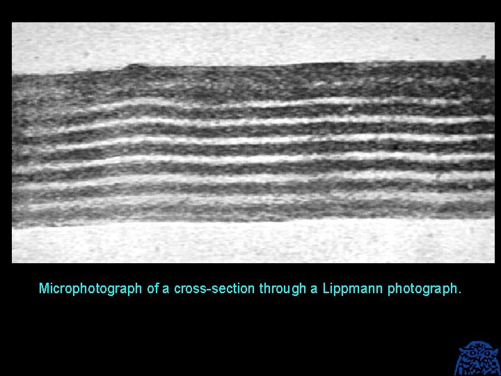Microphotograph of a cross-section through a Lippmann photograph. 