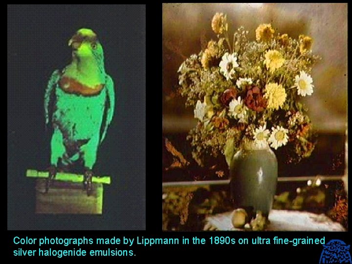 Color photographs made by Lippmann in the 1890 s on ultra fine-grained silver halogenide