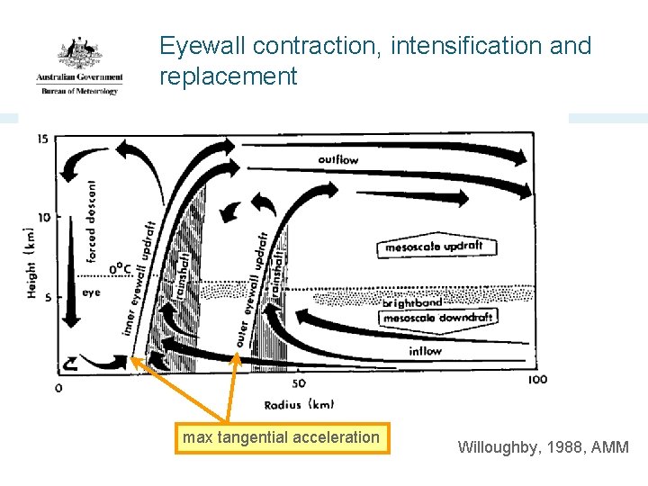 Eyewall contraction, intensification and replacement max tangential acceleration Willoughby, 1988, AMM 