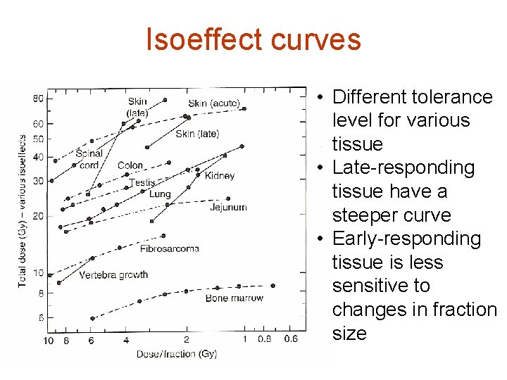Isoeffect curves • Different tolerance level for various tissue • Late-responding tissue have a