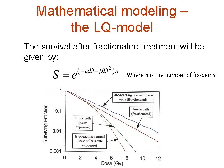Mathematical modeling – the LQ-model The survival after fractionated treatment will be given by: