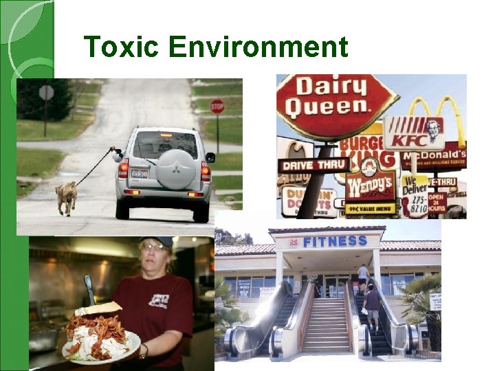 Toxic Environment 