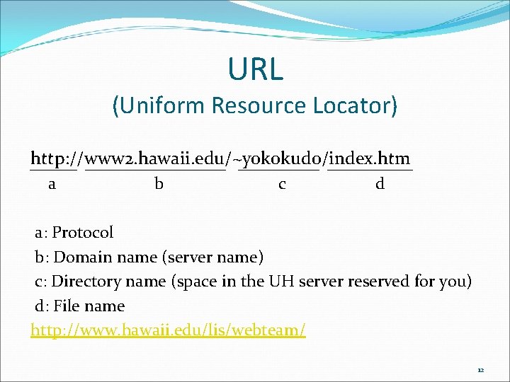 URL (Uniform Resource Locator) http: //www 2. hawaii. edu/~yokokudo/index. htm a b c d URL (Uniform Resource Locator) http: //www 2. hawaii. edu/~yokokudo/index. htm a b c d
