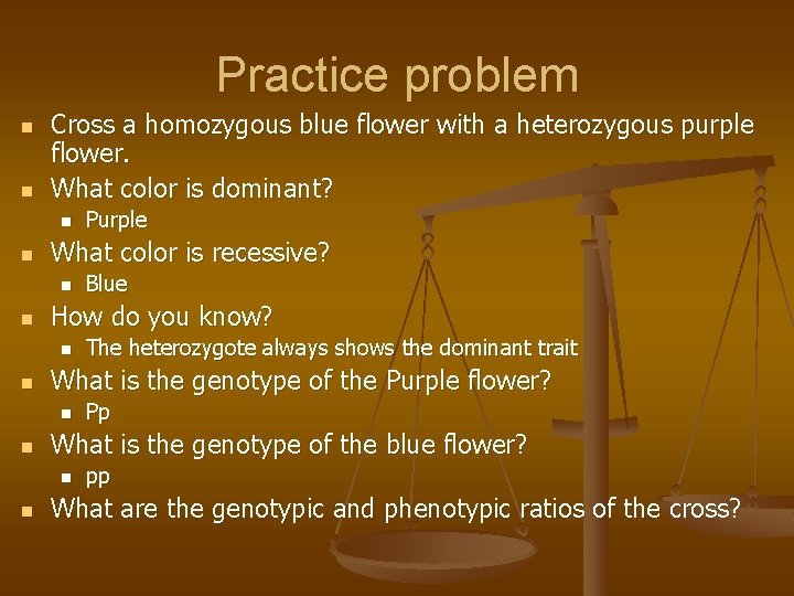 Practice problem n n Cross a homozygous blue flower with a heterozygous purple flower.