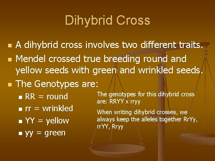 Dihybrid Cross n n n A dihybrid cross involves two different traits. Mendel crossed