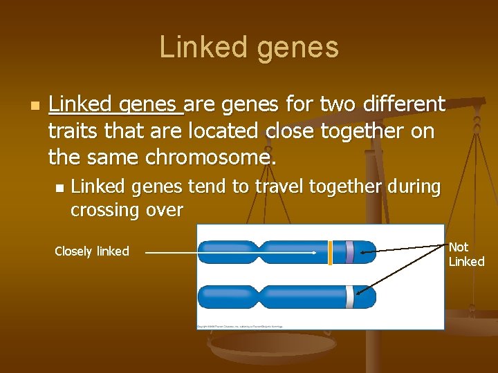 Linked genes n Linked genes are genes for two different traits that are located