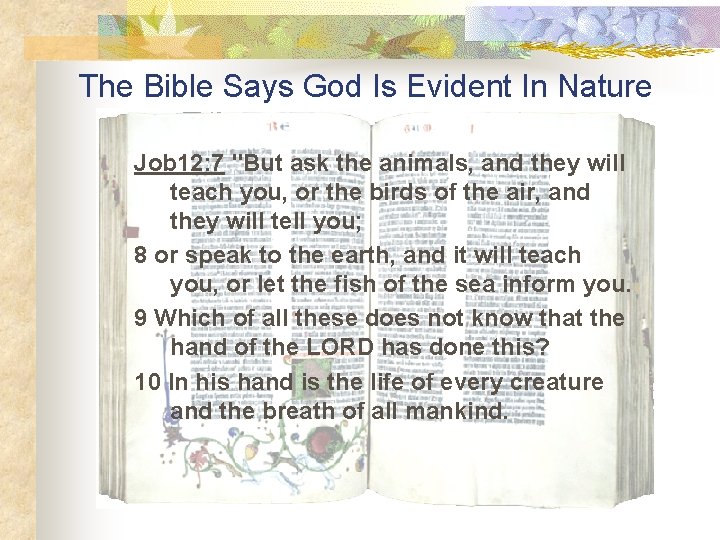 The Bible Says God Is Evident In Nature Job 12: 7 "But ask the