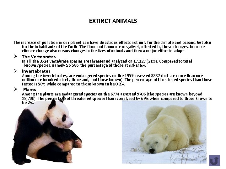 EXTINCT ANIMALS The increase of pollution in our planet can have disastrous effects not