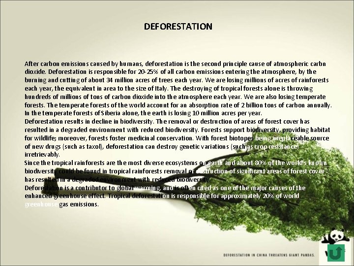 DEFORESTATION After carbon emissions caused by humans, deforestation is the second principle cause of