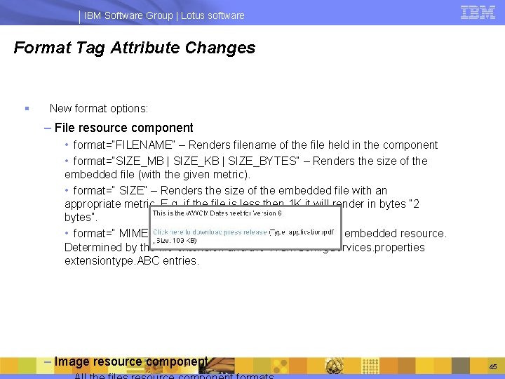 IBM Software Group | Lotus software Format Tag Attribute Changes § New format options: