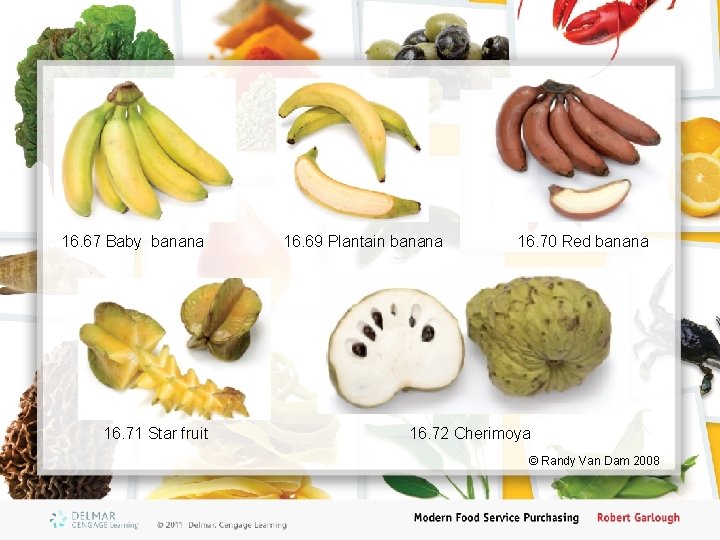 16. 67 Baby banana 16. 71 Star fruit 16. 69 Plantain banana 16. 70