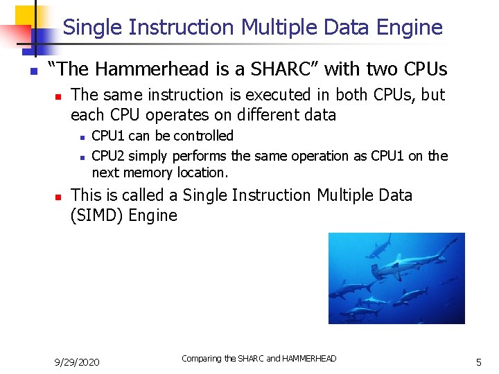 Single Instruction Multiple Data Engine n “The Hammerhead is a SHARC” with two CPUs