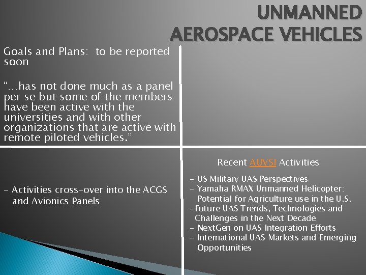 Goals and Plans: to be reported soon UNMANNED AEROSPACE VEHICLES “…has not done much