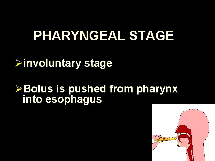 PHARYNGEAL STAGE Øinvoluntary stage ØBolus is pushed from pharynx into esophagus 