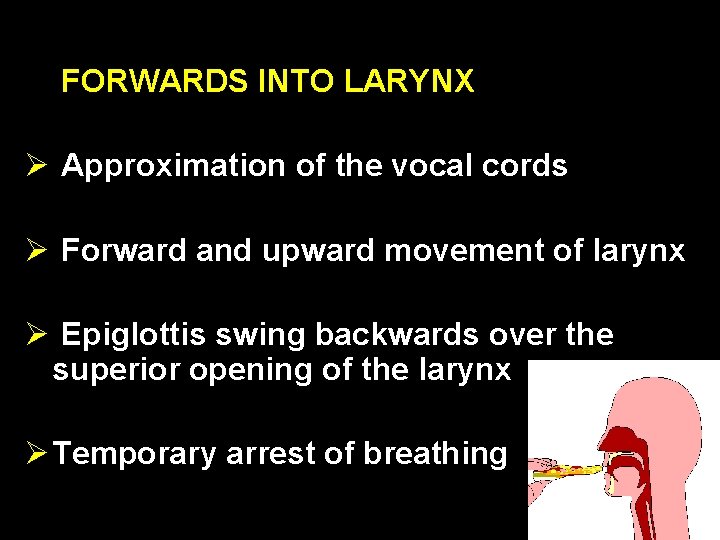 FORWARDS INTO LARYNX Ø Approximation of the vocal cords Ø Forward and upward movement