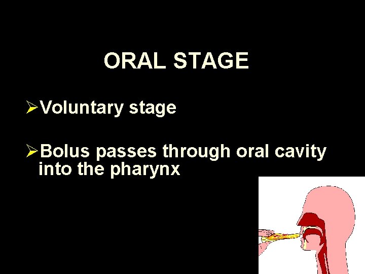 ORAL STAGE ØVoluntary stage ØBolus passes through oral cavity into the pharynx 