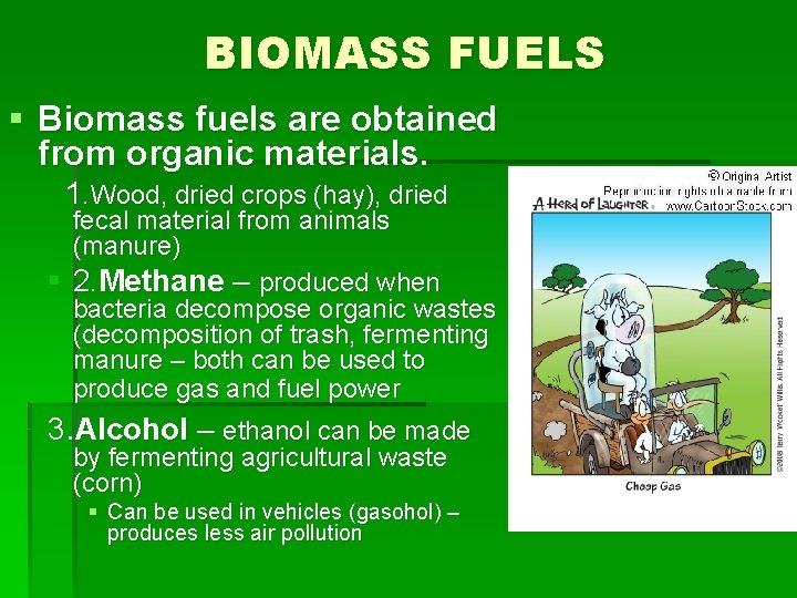 BIOMASS FUELS § Biomass fuels are obtained from organic materials. 1. Wood, dried crops