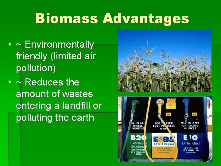 Biomass Advantages § ~ Environmentally friendly (limited air pollution) § ~ Reduces the amount