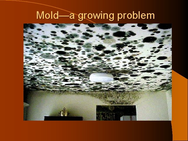 Mold—a growing problem 