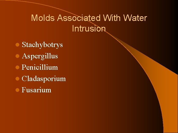 Molds Associated With Water Intrusion l Stachybotrys l Aspergillus l Penicillium l Cladasporium l
