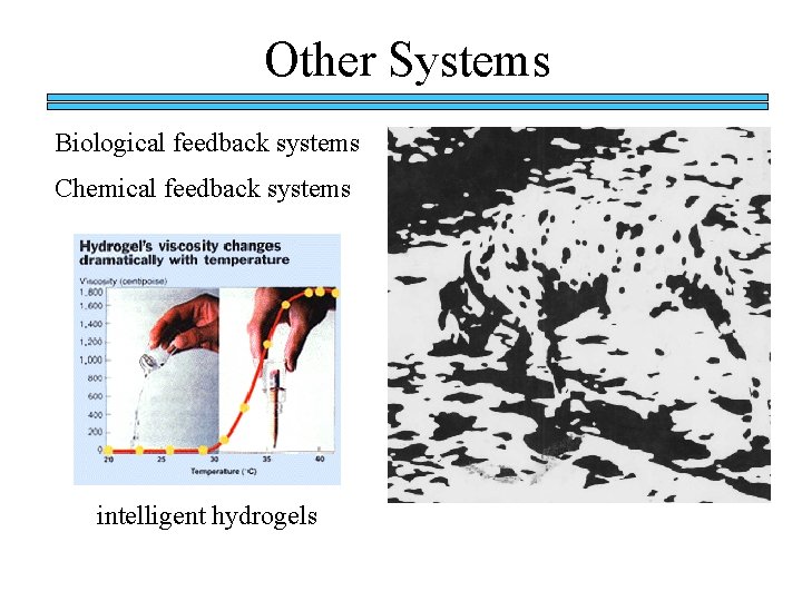 Other Systems Biological feedback systems Chemical feedback systems intelligent hydrogels Other Systems Biological feedback systems Chemical feedback systems intelligent hydrogels