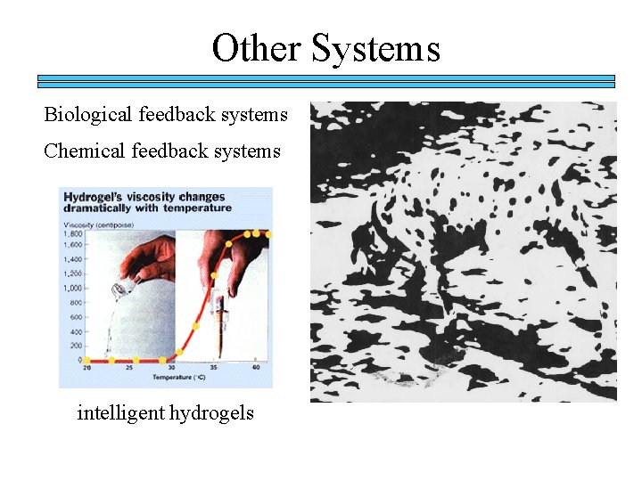 Other Systems Biological feedback systems Chemical feedback systems intelligent hydrogels 