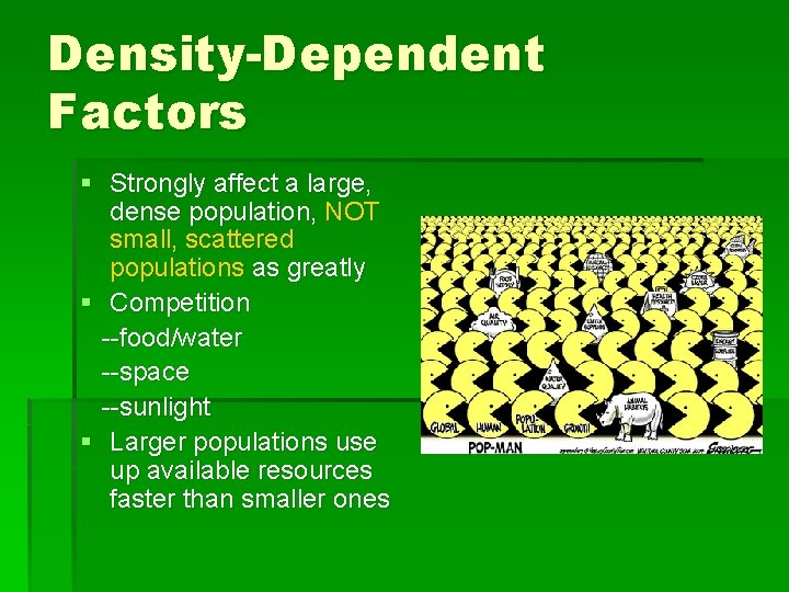 Density-Dependent Factors § Strongly affect a large, dense population, NOT small, scattered populations as