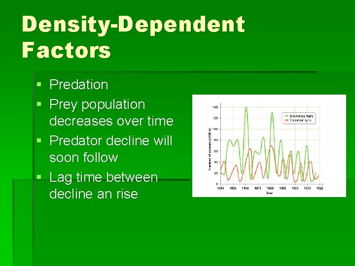Density-Dependent Factors § Predation § Prey population decreases over time § Predator decline will