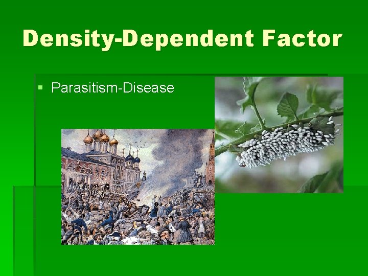 Density-Dependent Factor § Parasitism-Disease 